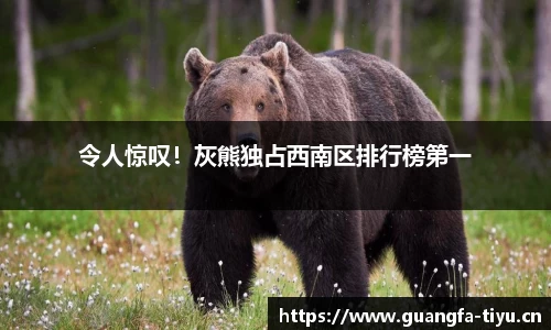 令人惊叹！灰熊独占西南区排行榜第一