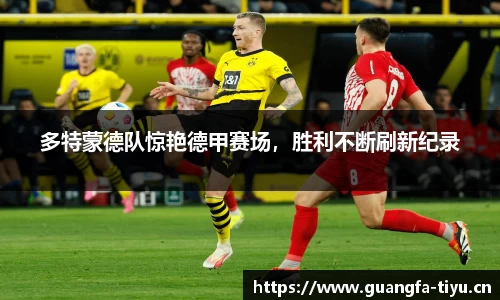 多特蒙德队惊艳德甲赛场，胜利不断刷新纪录