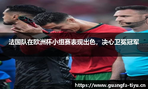 法国队在欧洲杯小组赛表现出色，决心卫冕冠军